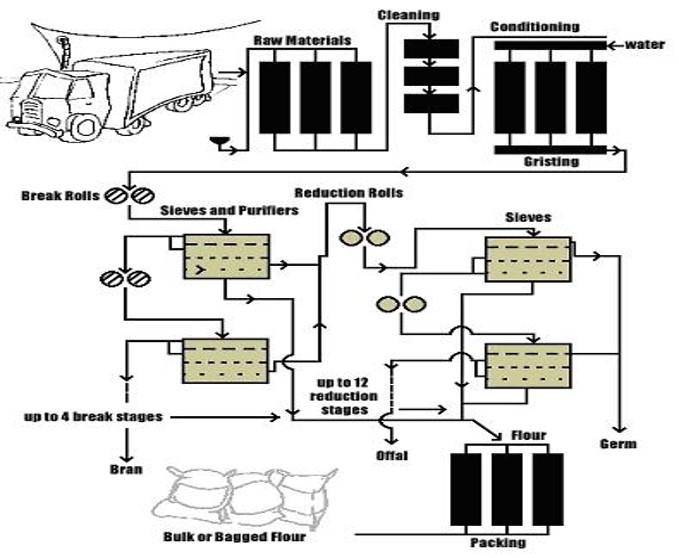 Flour Milling Process NZFMA